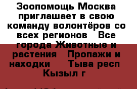 Зоопомощь.Москва приглашает в свою команду волонтёров со всех регионов - Все города Животные и растения » Пропажи и находки   . Тыва респ.,Кызыл г.